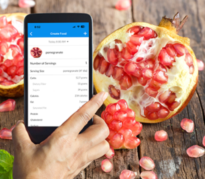 Pomegranate in the Glooko Food Tracker